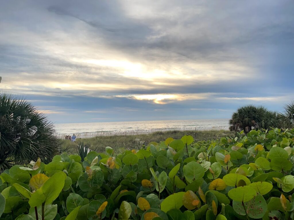 pass a grille beach